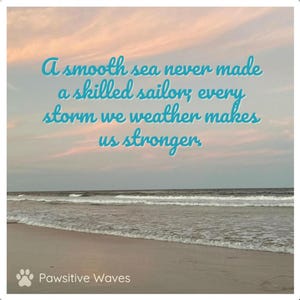 Inspirational Ocean Magnet: &quot;A smooth sea never made a skilled sailor; every storm we weather makes us stronger.&quot;