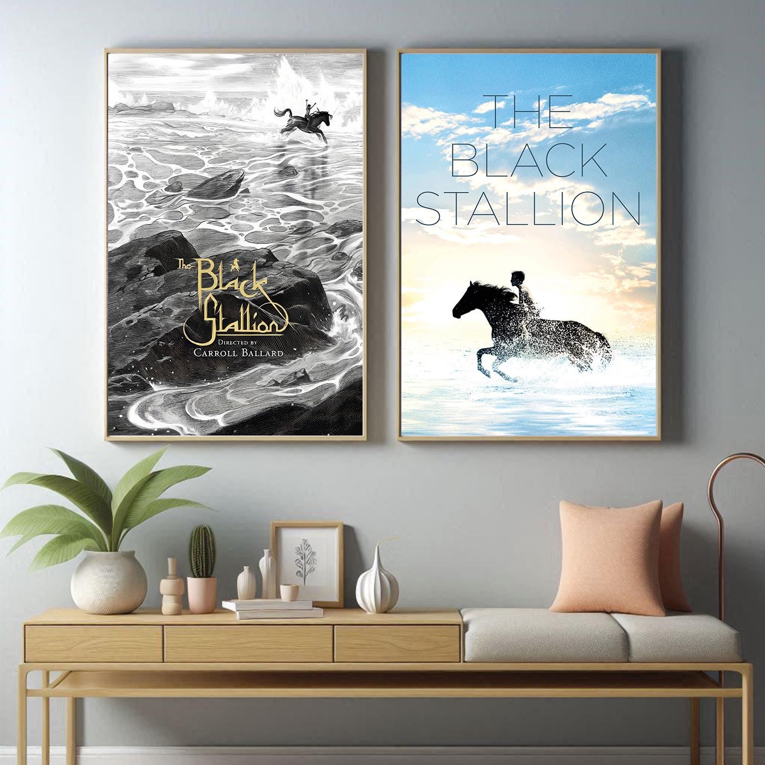 The Black Stallion Movie Poster - Etsy