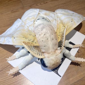 Peluche de polilla suave, animal de peluche de polilla blanca, regalos con insignias de polilla, accesorios para ella y él