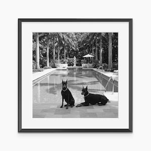 Doberman Pinscher, Photography Prints, Doberman Poster, Fine Art Print, Doberman, Black and White Wall Art, Museum Quality Wall Art