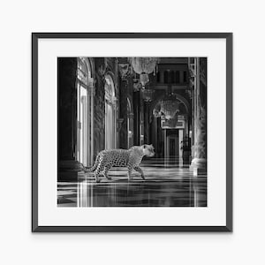 Leopard Print, Photography Prints, Fashion Wall Art, Leopard Poster, Fine Art Print, Black and White Wall Art, Museum Grade Wall Art Prints