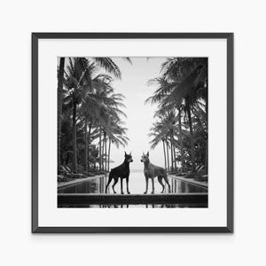 Doberman, Photography Prints, Doberman Poster, Doberman Pinscher, Fine Art Print, Black and White Wall Art, Museum Quality Wall Art