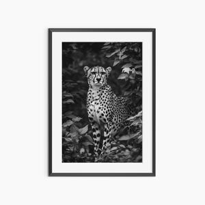 Cheetah Print, Photography Prints, Animal Poster, Nature Prints, Black and White Wall Art, Fine Art Print, Museum Grade Photography Poster