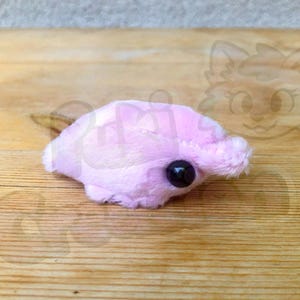 Shrimp Plushie