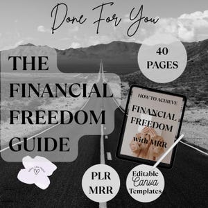 MRR Ratgeber finanzielle Freiheit 40 Seite mit PLR, ebook PDF Vorlage mit Mrr, Master Resell Right,Passive Income, Small Business,Resell Right