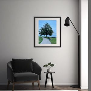 May include: A framed photograph of a tree on a path, with a bench in the distance. The photograph is in a black frame and is hanging on a light gray wall. A black armchair, small black table, and floor lamp are in the room.