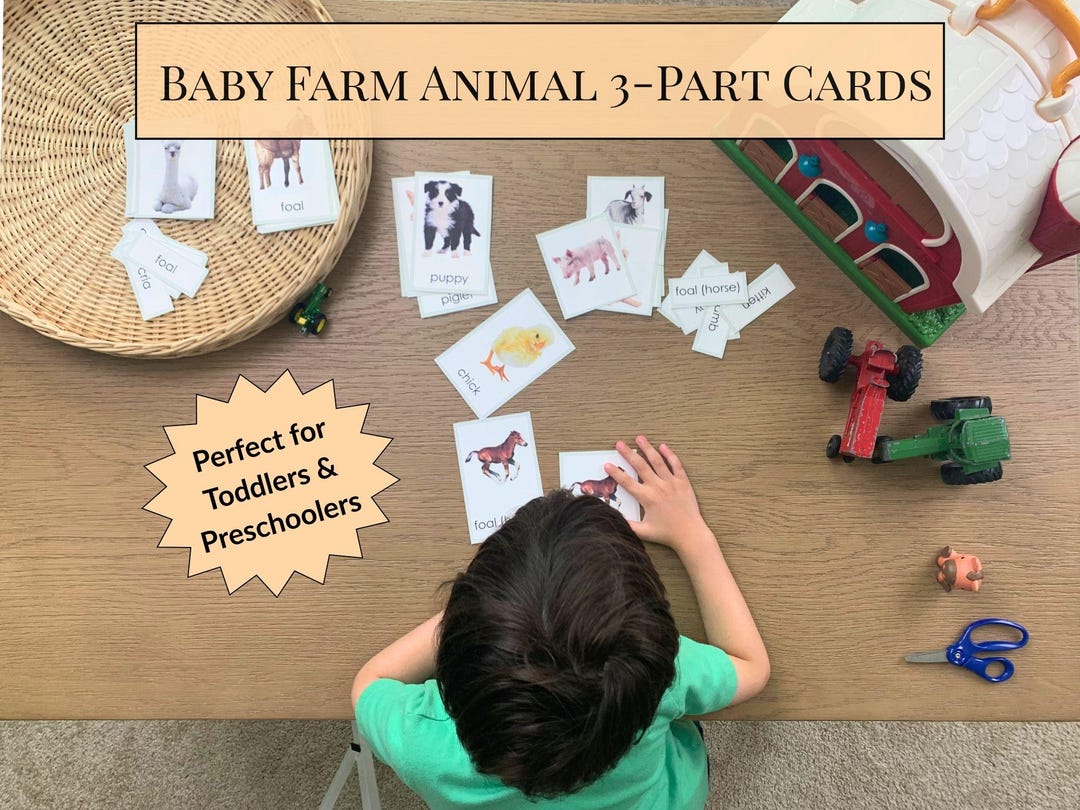 Baby Farm Animal 3 Part Cards Montessori Printable Flashcards Toddlers ...