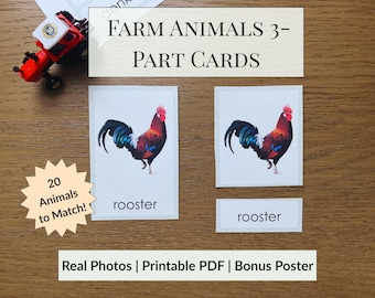 Tarjetas de 3 partes de animales de granja / Tarjetas didácticas Montessori imprimibles en PDF / Fotos reales para preescolar, educación en casa, aprendizaje temprano y vocabulario infantil