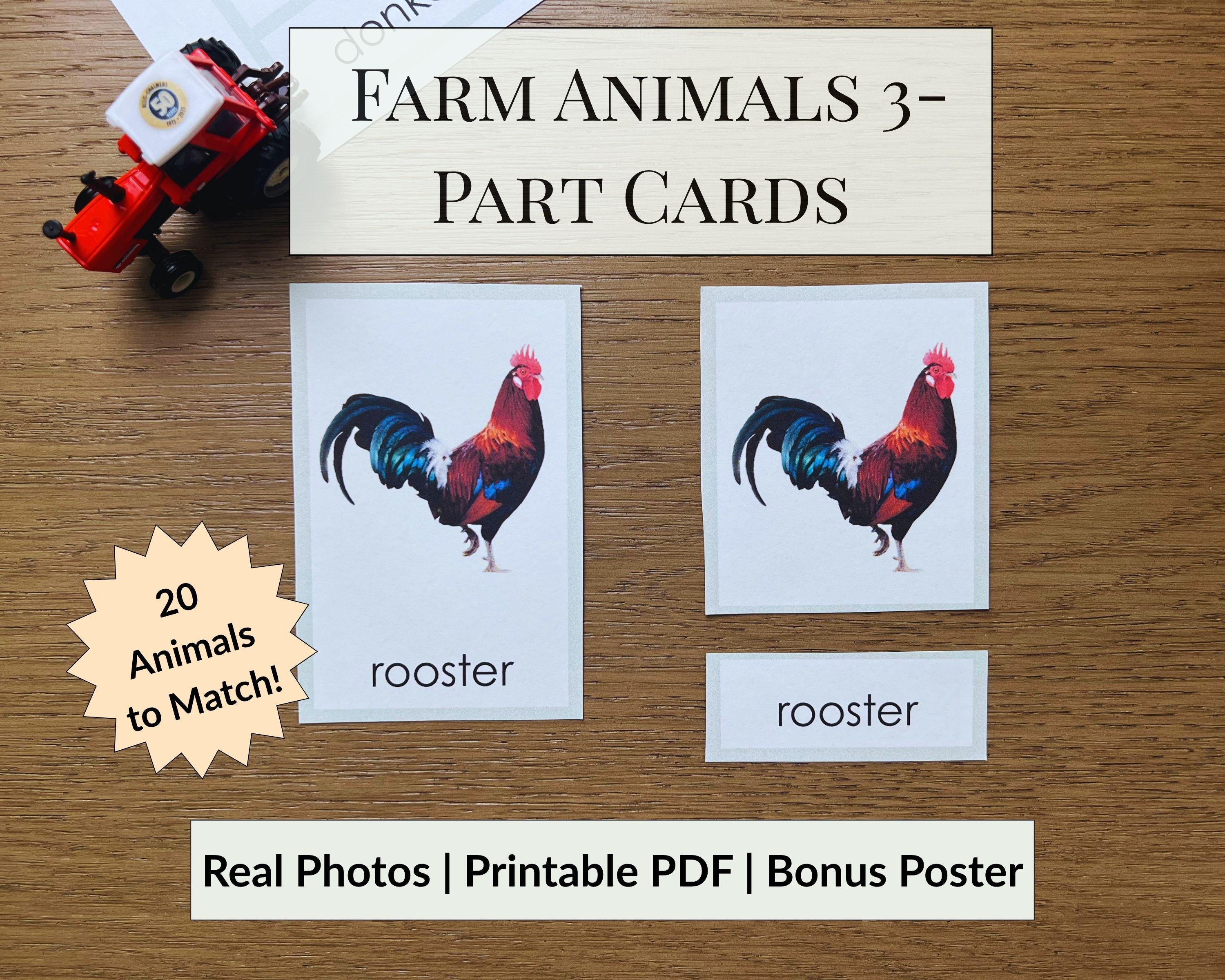 Farm Animal 3-part Cards | Montessori Printable PDF Flashcards | Real ...