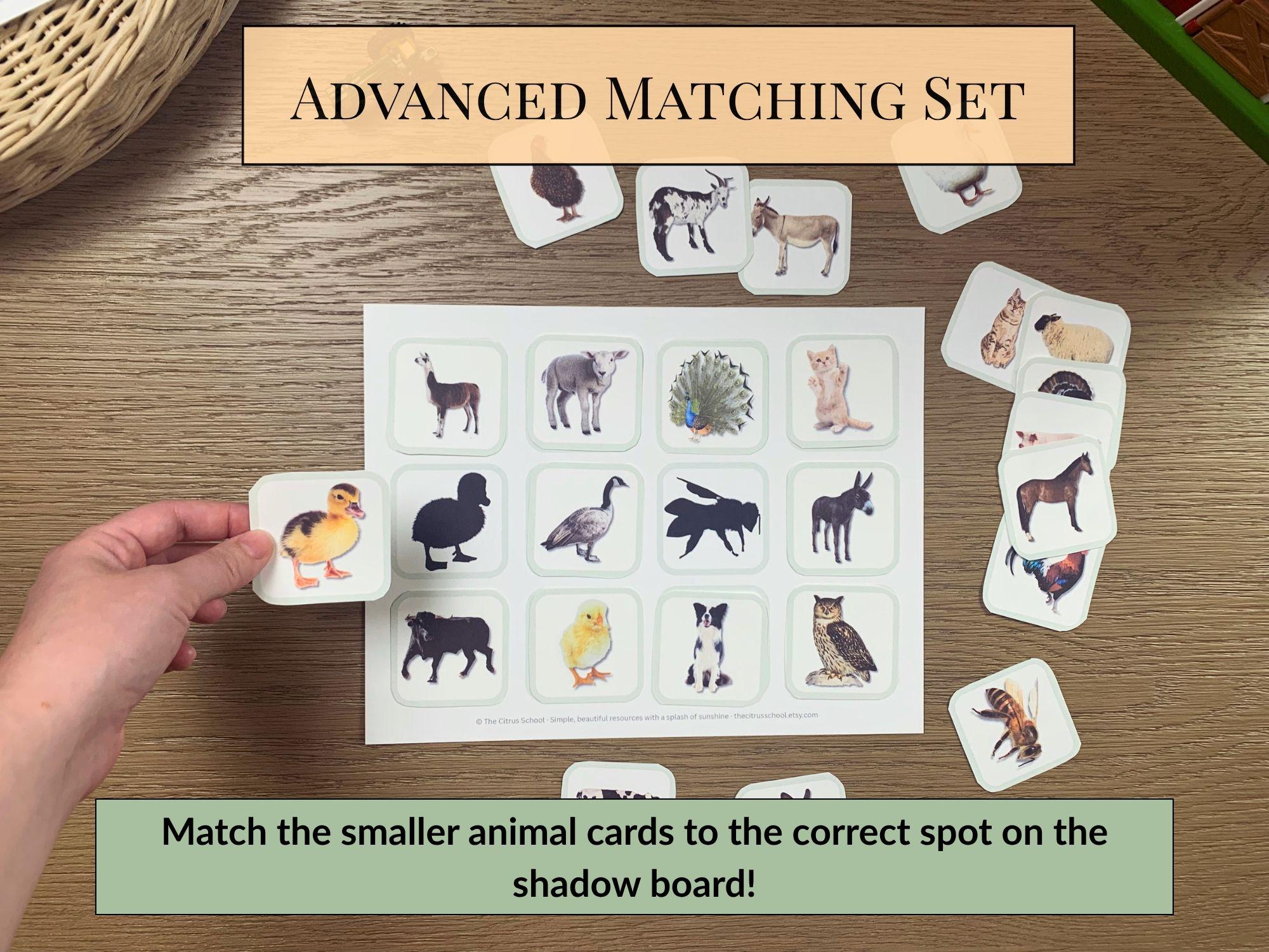 Farm Animal Shadow Matching Cards | Montessori Preschool Printable Game ...