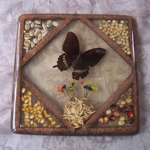 May include: Square, framed artwork featuring a preserved butterfly with dark brown wings and white spots. The artwork includes dried flowers and various seeds, such as corn and sunflower seeds, encased in a clear resin. The frame is a dark brown color.