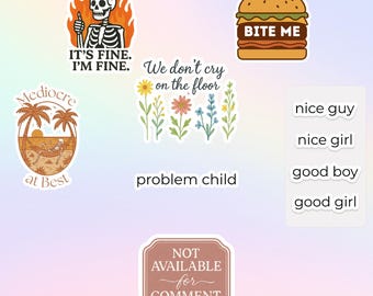 Funny Vinyl Sticker Pack Collection Indoor Art Wall Decoration Laptop Accessory Gift Idea Humor Decal Set Bundle Cute Label Design Premium