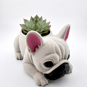 May include: A light grey French bulldog-shaped planter with a black muzzle, dark eyes, and bright pink inner ears. The planter holds a green succulent plant with pointed leaves, positioned in the centre of the dog's back on a white background.