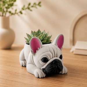 May include: A white French bulldog-shaped planter with a black muzzle and bright pink inner ears. The planter features a sculpted, lying-down dog design with a green succulent plant nestled in the opening on its back, creating a decorative container.