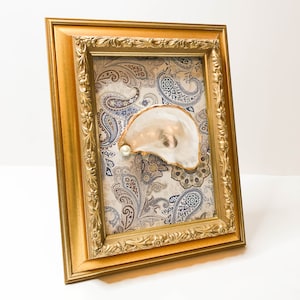 Framed Oyster - Real Oyster 3D Art - Decorative Oyster Art Gold Frame - Coastal Art Home Decor - Nautical Art