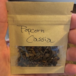 Peut inclure: Un petit sachet en papier brun avec une fenêtre transparente contenant des graines. Le sachet porte l'inscription "Popcorn Cassia" à l'encre noire manuscrite. Les graines sont petites, brunes et de forme ovale.