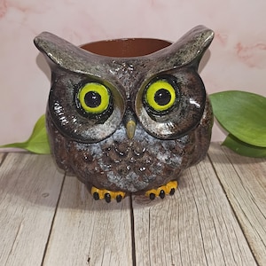 May include: A ceramic owl-shaped planter with a brown interior. The owl has large yellow eyes, a brown and gray body, and yellow feet. The planter is designed to hold small plants or flowers.