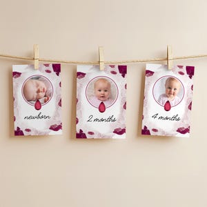 July Ruby Birthstone Monthly Photo Banner, Little Gem 1st Birthday Bunting, Red Crystal 1st Year Photos Decor, Editable Canva File - LGR23