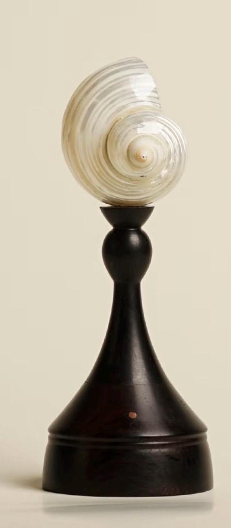 Op de afbeelding: Een decoratieve schelpenbeeldhouwwerk. De sculptuur heeft een grote, parelmoer schelp bovenop een donkerhouten standaard. De standaard heeft een bolvormig middengedeelte en een uitlopende basis, wat een opvallend contrast cre&euml;ert.