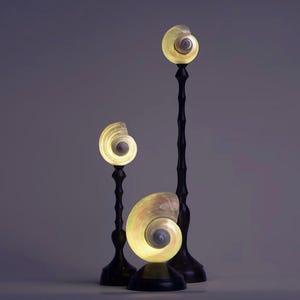 Op de afbeelding: Drie decoratieve lampen met een schelpenontwerp. Elke lamp heeft een zwarte, slanke standaard en een gloeiende, spiraalvormige schelp. De schelpen hebben een parelmoer, iriserende kwaliteit en de lampen geven een zacht, warm licht af.