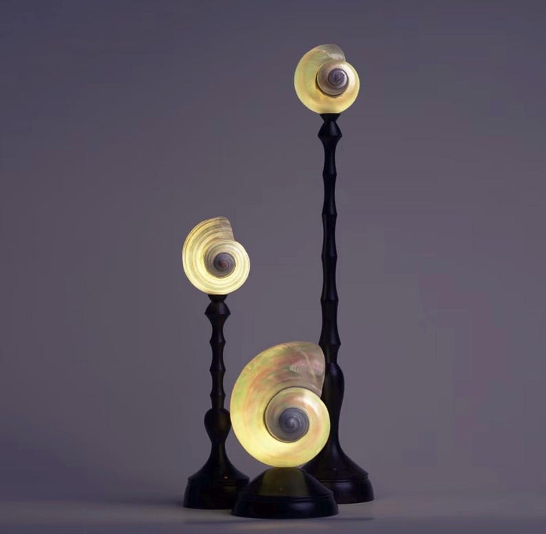 Op de afbeelding: Drie decoratieve lampen met een schelpenontwerp. Elke lamp heeft een zwarte, slanke standaard en een gloeiende, spiraalvormige schelp. De schelpen hebben een parelmoer, iriserende kwaliteit en de lampen geven een zacht, warm licht af.