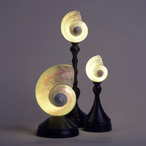 Pode incluir: Três candeeiros de concha com um design em espiral. Os candeeiros têm uma base e haste pretas, com conchas iluminadas em tons de branco, amarelo e verde. Os candeeiros são de tamanhos variados, criando uma exibição decorativa.
