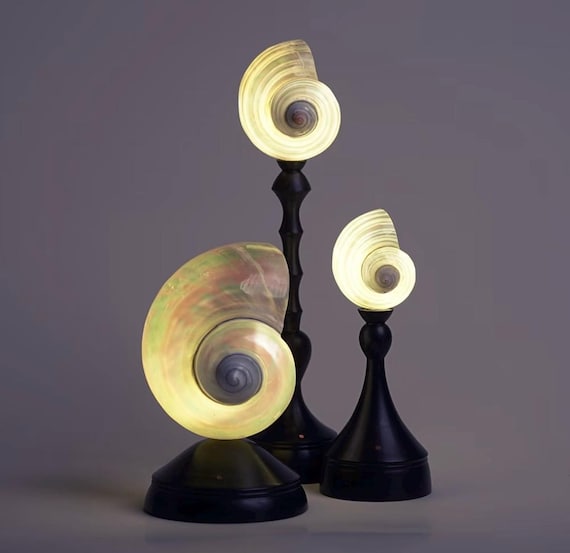 Vintage style Sea Snail Night Lamp