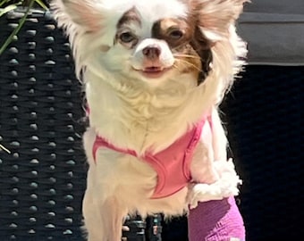 Save Gracie Bracelet | Handmade Dog Rescue Bracelet | Supports Adoption Fundraiser | Aurora Love Dawn