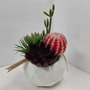 Handmade Artificial Succulent Cactus Arrangement White Geometric Pot Red Purple