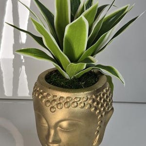 May include: A gold Buddha head plant pot containing a green and white plant. The pot has a detailed face and is filled with green moss. The plant has long, pointed green leaves with white edges.