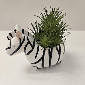 以下が含まれることがあります： 白地に黒い縞模様が特徴的な、シマウマ型のプランター。プランターには、鮮やかな緑色のとげのある植物が植えられています。シマウマは目を閉じており、ピンク色の耳が、この装飾品に遊び心を加えています。