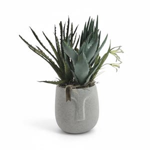 Puede incluir: Un arreglo decorativo de suculentas en maceta. El arreglo presenta una variedad de suculentas verdes y verde azulado en una maceta de cerámica gris moteada con forma de cara. Una pequeña etiqueta cuelga de la maceta con una cuerda.