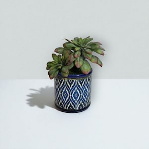 Puede incluir: Pequeña maceta cilíndrica de cerámica con un patrón geométrico azul y blanco, que contiene una planta suculenta verde con hojas de punta roja. La maceta tiene un borde y una base azul oscuro, sobre una superficie blanca.
