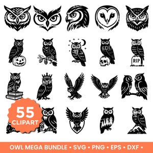 Owl SVG PNG Bundle Cute Owl Clipart Design Owl Random Cutting Files for Cricut Bird Owl Silhouette Vector Owl Art Pack