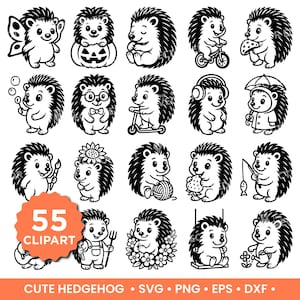 Cute Hedgehog SVG PNG Bundle Hedgehog Clipart for Cricut, Silhouette, Hedgehog T-Shirt Design, Vinyl Crafts & DIY Projects
