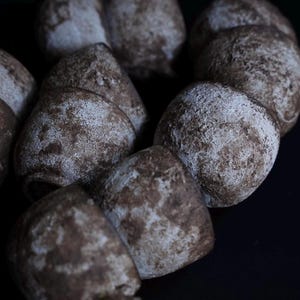 May include: Close-up of several brown, round pastries with a light dusting of white powder. The pastries are arranged closely together against a dark background, creating a contrast between the light and dark tones.