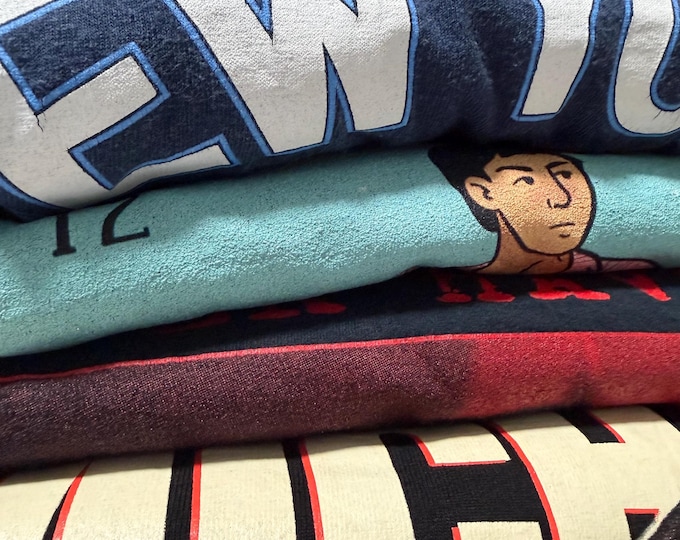 3 Count Mystery Thrifted Tee (vintage or retro or modern)