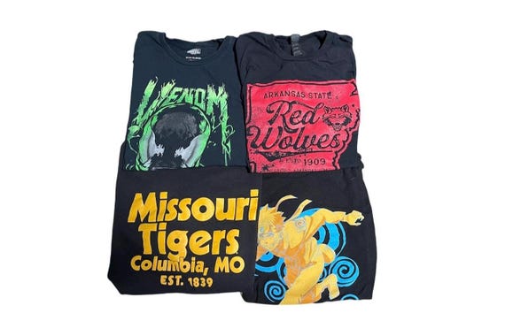 3lbs Mystery Thrifted Tee (vintage/retro/modern)