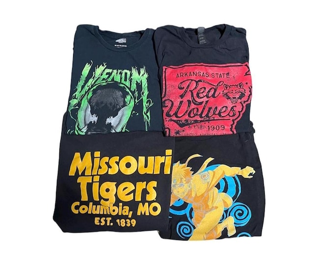 3lbs Mystery Thrifted Tee (vintage/retro/modern)