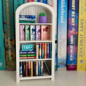 DIY Mini Bookshelf | Mini Library | Mini Bookshelf Case | Mini Books | Bookish Decor | Mini Bookshelf Decor | Gifts for Book Lover | Books