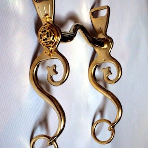 Puede incluir: Un bocado de caballo dorado con un diseño decorativo. El bocado presenta un elemento central ornamentado y piezas laterales curvas con anillos. El metal tiene un acabado pulido. El bocado está diseñado para uso ecuestre.