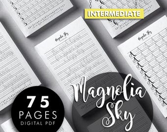Hojas de práctica de caligrafía Magnolia Sky, guía del alfabeto para Procreate (PDF)