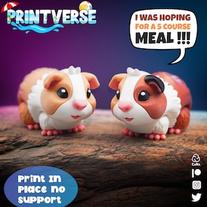 Puede incluir: Dos figuras detalladas de cobayas de estilo caricatura con pelaje marrón, blanco y naranja, narices rosas y pequeños pies rosas. Un bocadillo dice: "¡¡¡Esperaba una comida de 5 platos!!!" El logotipo de Printverse está en la parte superior.