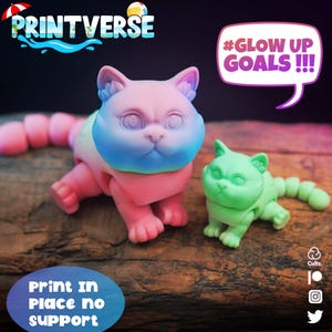 May include: Two 3D-printed cat figurines. One is pink, blue, and yellow, and the other is green. The pink cat has a segmented tail and is in a crawling position. The green cat is also in a crawling position. The image includes the text "PRINTVERSE" and "#GLOW UP GOALS !!!".
