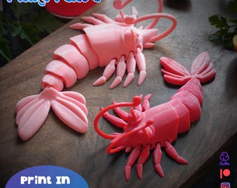 Flexy Shrimp STL Print In Place