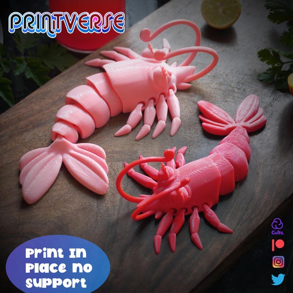 Flexy Shrimp STL Print In Place