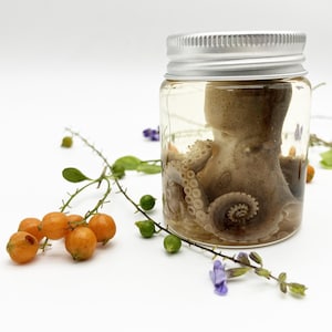 Op de afbeelding: Een geconserveerde octopus in een heldere glazen pot met een zilveren deksel. De octopus is lichtbruin van kleur en de pot is omgeven door oranje bessen, groene knoppen en paarse bloemen op een witte achtergrond.