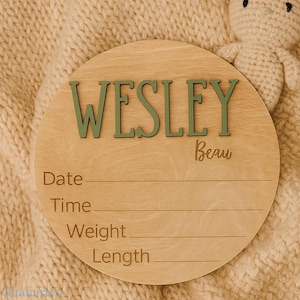 Custom Baby Announcement Sign, Baby Name Plaque, Birth Stats Sign, Newborn Keepsake, Nursery Decor, Baby Shower Gift