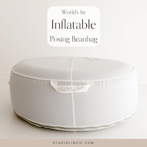 Newborn Posing Beanbag, posing Bean Bag, newborn beanbag, newborn posing stand, travel newborn props, newborn photography props, Inflatable