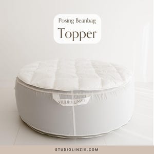 May include: A round, gray and white posing beanbag with a quilted white topper. The beanbag has a handle with the text "STUDIO LINZIE". The text "Posing Beanbag Topper" is in a white oval on the top.